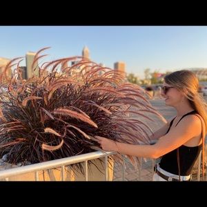 Meet your Posher, Samantha